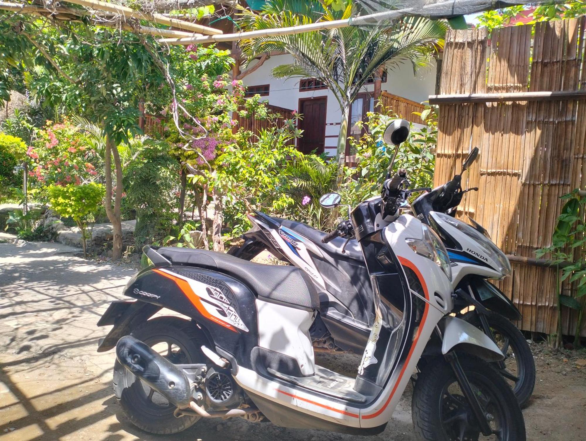 Homestay Nadil